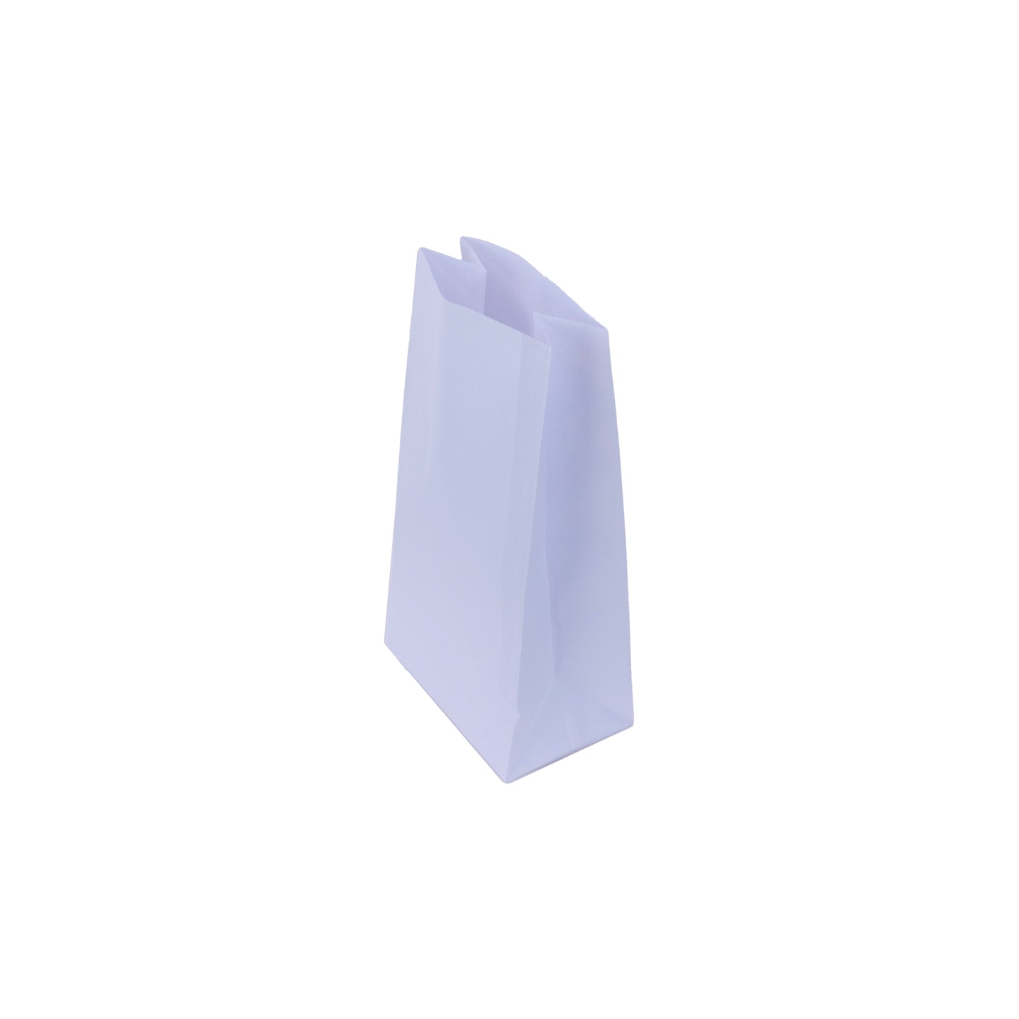 HY912010 Disposable Lined Paper Vomit Bags - Pack of 25